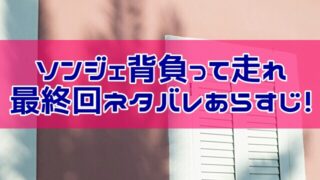 ソンジェ背負って走れ最終回あらすじは？結末は時空を超えて2人は幸せに！