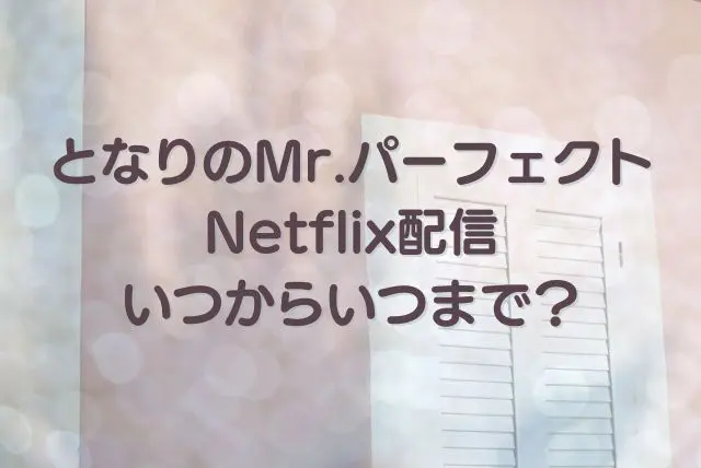 となりのMr.パーフェクト　Netflix